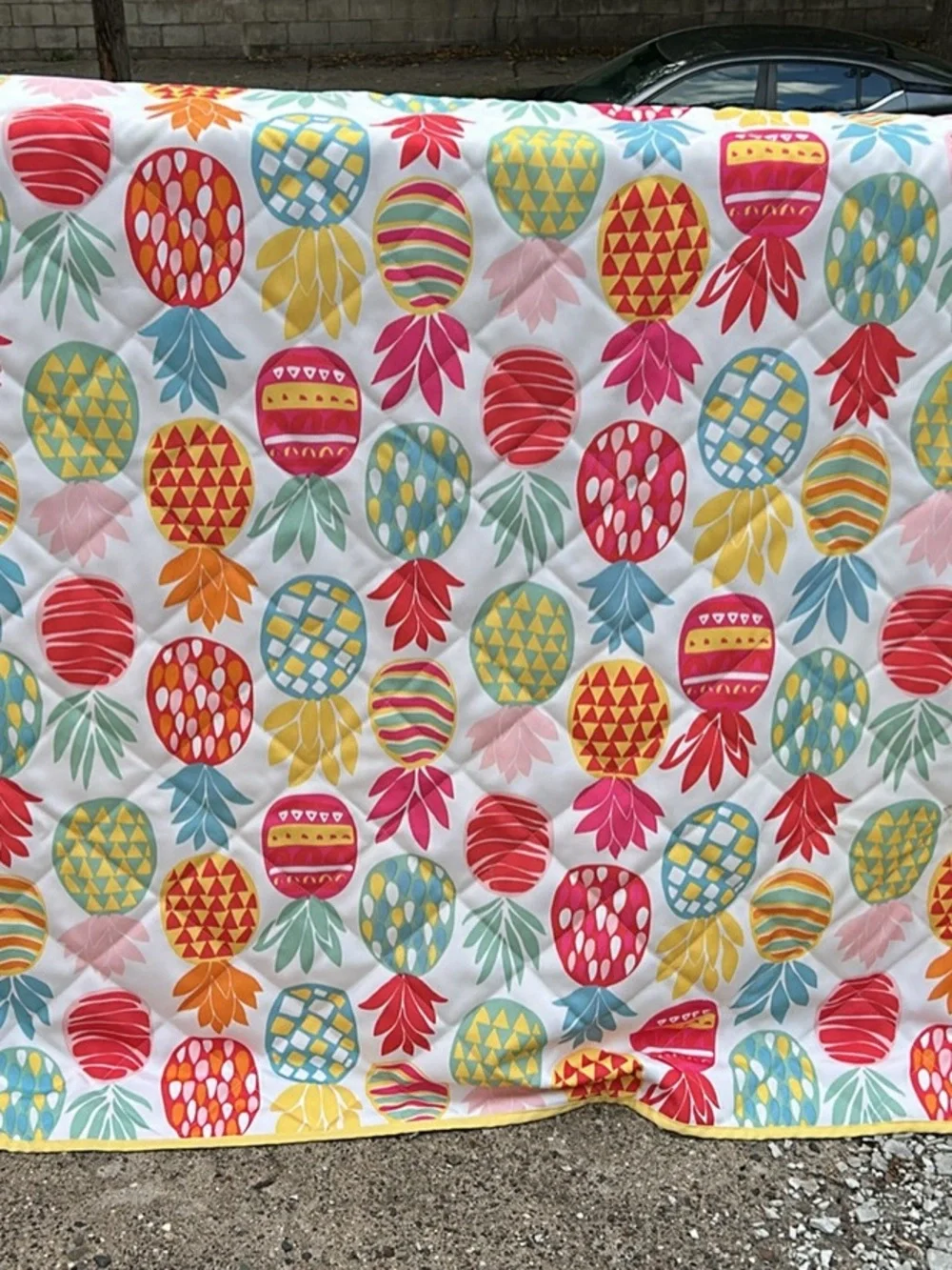 Pineapple print picnic outdoor blanket